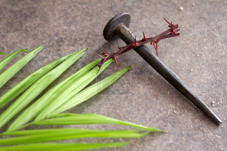 Photo for Cross made of old nail and thorn with palm branch. Palm Sunday religious concept - Royalty Free Image