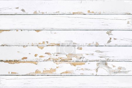 Foto de Fondo rústico de madera. Textura de madera rústica vieja. Píldora de pared de color blanco con grietas - Imagen libre de derechos