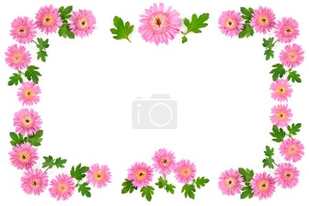 Patrón de flor de crisantemo aislado sobre fondo blanco. Espacio libre para texto. Collage..