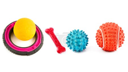 Set of toys for dogs isolated on white background. Collage.