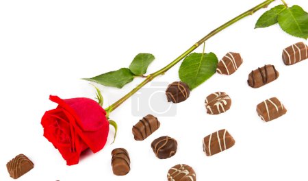 Téléchargez les photos : Chocolate candy and red rose isolated on white background. - en image libre de droit