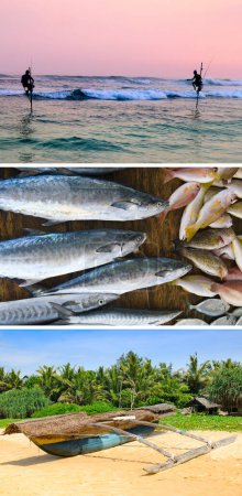 Foto de Pesca tradicional en el Océano Índico. Collage. Foto vertical - Imagen libre de derechos