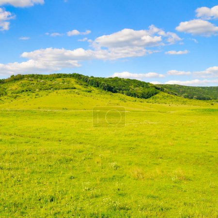 Téléchargez les photos : Prairie verte, arbres et collines. Beau paysage d'été, Moldavie. - en image libre de droit
