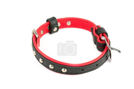 Photo for Black leather dog collar Isolated on a white background. - Royalty Free Image