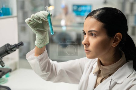 Foto de Young serious female lab worker in whitecoat and protective gloves loooking at flask with blue liquid while studying new substance - Imagen libre de derechos