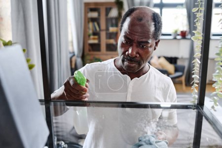 Photo for Contemporary old man of African ethnicity with duster spraying detergent on glass shelf while cleaning furniture in living room - Royalty Free Image