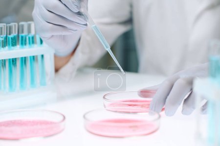 Foto de Gloved hands of modern scientist adding drop of liquid from flask in petri dish containing pink substance from plastic pipette in laboratory - Imagen libre de derechos