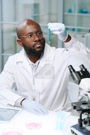 Téléchargez les photos : Jeune chercheur afro-américain sérieux regardant la fiole avec du liquide bleu tout en la tenant devant son visage en laboratoire - en image libre de droit