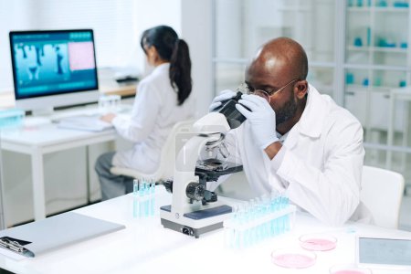 Téléchargez les photos : Young African American male researcher in whitecoat and gloves making scientific experiment while using microscope against female coworker - en image libre de droit