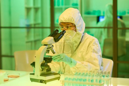 Foto de Young female scientist in protective biohazard suit, respirator, gloves and eyeglasses looking in microscope while studying new virus or bacteria - Imagen libre de derechos