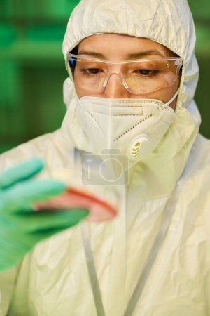 Photo for Close-up of contemporary biotechnologist looking at chemical substance in petri dish while studying its appearance and other characteristics - Royalty Free Image