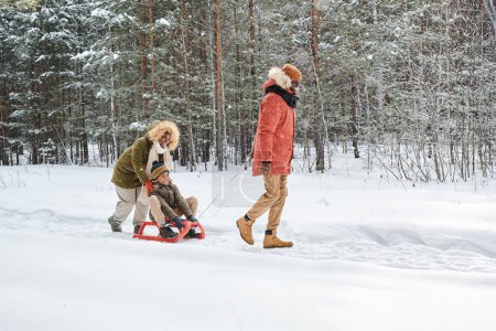 Foto de Happy young family of three in winterwear sledging along road between pines and firtrees covered with snow in winter forest - Imagen libre de derechos