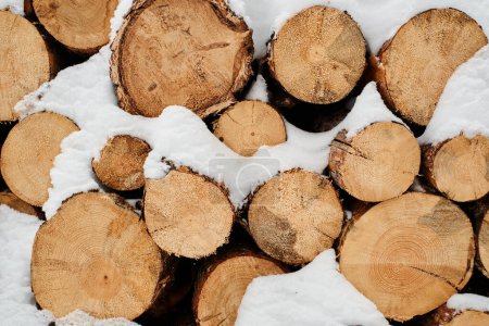 Téléchargez les photos : Close-up of dry chopped firewood forming woodpile covered with snow that can be used as background for your advertisement - en image libre de droit