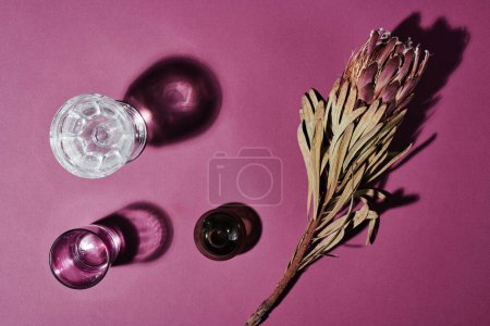 Téléchargez les photos : Group of glasses with water and their shadows and withered flower with blossom and dry leaves against crimson background - en image libre de droit