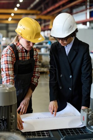 Téléchargez les photos : Two young factory workers in hardhats bending over unrolled blueprint while discussing sketch of construction or product at meeting - en image libre de droit