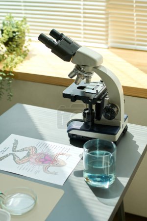 Téléchargez les photos : Partie du bureau gris avec microscope, papier avec croquis de structure de grenouille, verre d'eau et boîte de Pétri au rebord de la fenêtre en classe - en image libre de droit