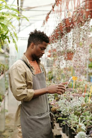 Téléchargez les photos : Jardinier africain en tablier prenant des photos de plantes vertes en pot avec appareil photo intelligent sur tablette pc pour connaître leurs noms - en image libre de droit