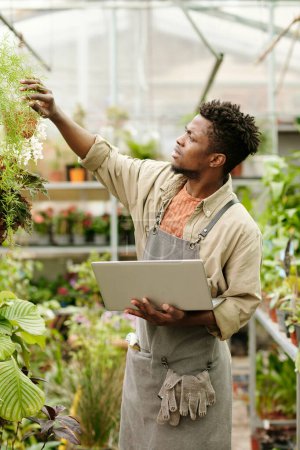 Téléchargez les photos : Jeune fleuriste africain utilisant un ordinateur portable pour savoir comment se soucier du type spécial de plante dans le magasin de fleurs - en image libre de droit