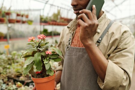 Foto de Primer plano del trabajador en uniforme llevando flor en maceta para el cliente y hablando por teléfono móvil mientras trabaja en floristería - Imagen libre de derechos