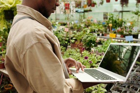 Téléchargez les photos : Gros plan du fleuriste qui utilise un ordinateur portable pour contrôler la croissance des plantes en serre - en image libre de droit