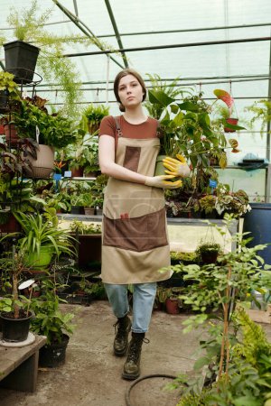 Foto de Mujer joven en uniforme llevando planta verde en maceta en sus manos caminando por el invernadero - Imagen libre de derechos
