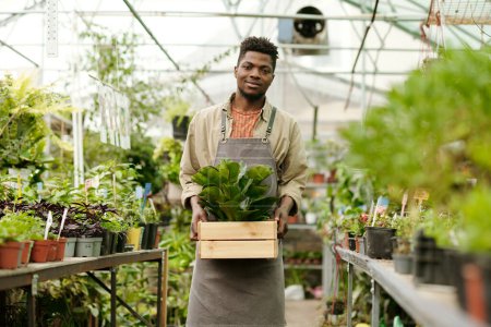 Foto de Retrato de un joven jardinero africano en uniforme con planta verde y sonriendo a la cámara de pie en granero - Imagen libre de derechos