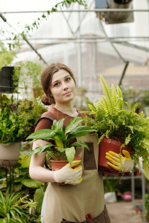 Téléchargez les photos : Portrait de jeune fleuriste tenant deux plantes en pot dans ses mains et regardant la caméra debout dans le magasin de fleurs - en image libre de droit