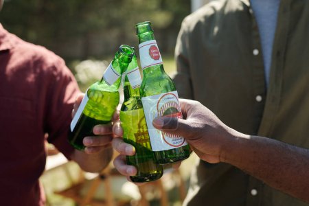 Foto de Manos de tres hombres interculturales tintineando con botellas de cerveza durante la fiesta al aire libre el fin de semana y disfrutando de su reunión - Imagen libre de derechos