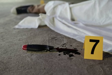 Téléchargez les photos : Carton jaune avec le numéro sept debout sur de l'asphalte à côté d'un couteau dans le sang qui était une arme de crime contre un homme mort recouvert d'une feuille - en image libre de droit