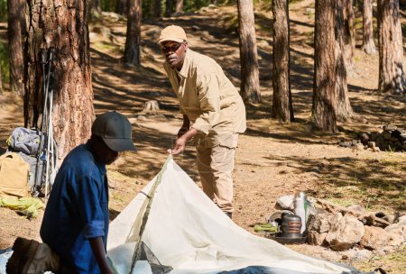 Téléchargez les photos : Homme afro-américain senior et son petit-fils mettre tente dans la forêt parmi les pins sur le week-end d'été ensoleillé pendant la randonnée - en image libre de droit