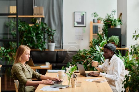 Téléchargez les photos : Deux jeunes employés interraciaux assis devant des ordinateurs portables, regardant à travers des informations en ligne et choisissant des données pour un nouveau projet d'entreprise - en image libre de droit