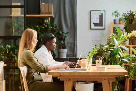 Téléchargez les photos : Deux jeunes collègues multiculturels en tenue décontractée regardant des écrans d'ordinateur portable assis près d'un bureau en bois dans un bureau plein de plantes vertes - en image libre de droit