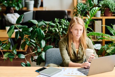 Téléchargez les photos : Jeune femme d'affaires blonde sérieuse avec tasse de café assis par bureau devant un ordinateur portable et en réseau dans le bureau avec des plantes vertes - en image libre de droit