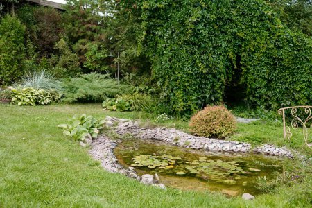 Téléchargez les photos : Partie du jardin devant chalet ou maison de campagne avec petit étang artificiel entouré de pierres, de plantes vertes, d'arbres et de buissons - en image libre de droit