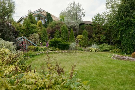 Wide green lawn surrounded by variety of plants, bushes and trees growing on backyard of summer house in the countryside