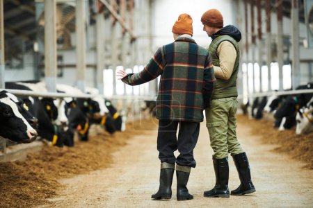 Téléchargez les photos : Vue arrière de jeunes travailleurs masculins et féminins de vaches en tenue de travail debout dans l'allée entre les étables et discutant - en image libre de droit