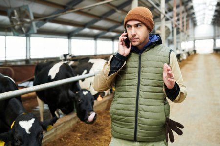 Foto de Joven propietario serio de la granja de vacas moderna en chaleco verde y gorro marrón hablando por teléfono móvil contra establo con ganado - Imagen libre de derechos