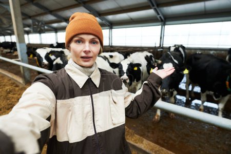 Foto de Joven agricultor confiado en ropa de trabajo mirando a la cámara mientras hace la presentación de una nueva raza de vacas lecheras en establo durante la transmisión en vivo - Imagen libre de derechos