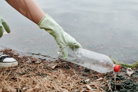 Téléchargez les photos : Main gantée de bénévoles ramassant des ordures sur la rive d'un lac forestier - en image libre de droit