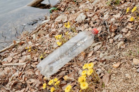 Photo for Empty plastic bottle on shore of forest lake next to blooming flowers, view from above - Royalty Free Image