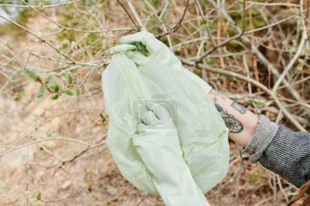 Téléchargez les photos : Mains de bénévoles portant des gants lors de la collecte des ordures dans les buissons du parc - en image libre de droit