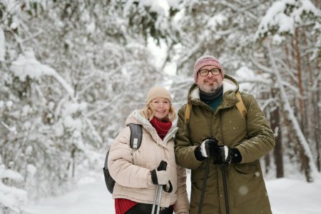Photo for Senior smiling husband and wife with trekking sticks standing in pinetree forest covered with snow during stroll and looking at camera - Royalty Free Image
