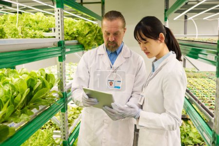 Photo for Two intercultural scientists looking at tablet screen in vertical farm during presentation or discussion of online description of new sorts of plants - Royalty Free Image