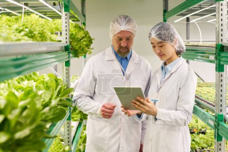 Photo for Male and female agronomists in protective workwear looking through online information about new sorts of lettuce on tablet screen - Royalty Free Image