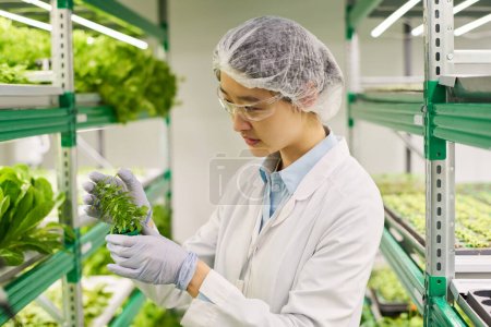 Foto de Vista lateral de la joven trabajadora de la granja vertical que mira a las plántulas verdes mientras elige el elemento para la investigación biotecnológica - Imagen libre de derechos