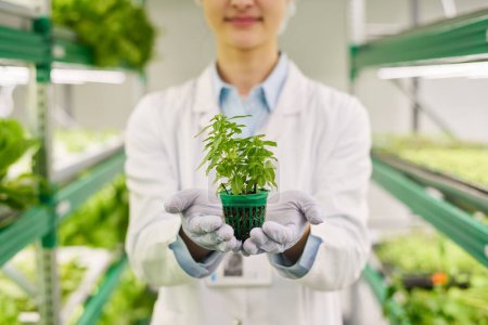 Photo for Close-up of gloved hands of agro engineer in lab coat holding small pot with green seedling growing in fertile soil on vertical trusses - Royalty Free Image