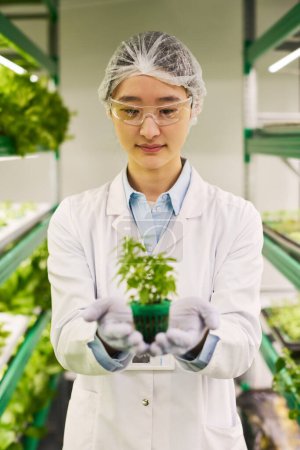 Foto de Joven científica asiática en bata de laboratorio mirando plántulas verdes en sus manos enguantadas mientras está de pie frente a la cámara entre trusses verticales - Imagen libre de derechos