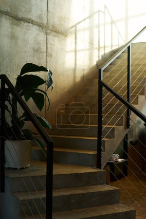 Téléchargez les photos : Partie du couloir avec escaliers et clôtures à l'intérieur du bâtiment centre d'affaires avec murs en béton gris et plante verte dans un grand pot de fleurs sur le sol - en image libre de droit