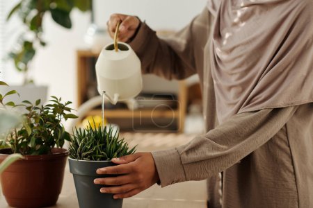 Foto de Foto recortada de mujer musulmana joven en ropa de casualwear beige regar plantas domésticas verdes en macetas mientras está de pie junto al mostrador de la cocina - Imagen libre de derechos