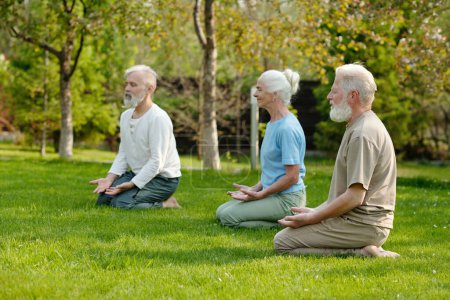 Foto de Vista lateral de personas mayores tranquilas sentadas en yoga posan en césped verde mientras hacen ejercicio por la mañana en el jardín de la casa de retiro - Imagen libre de derechos